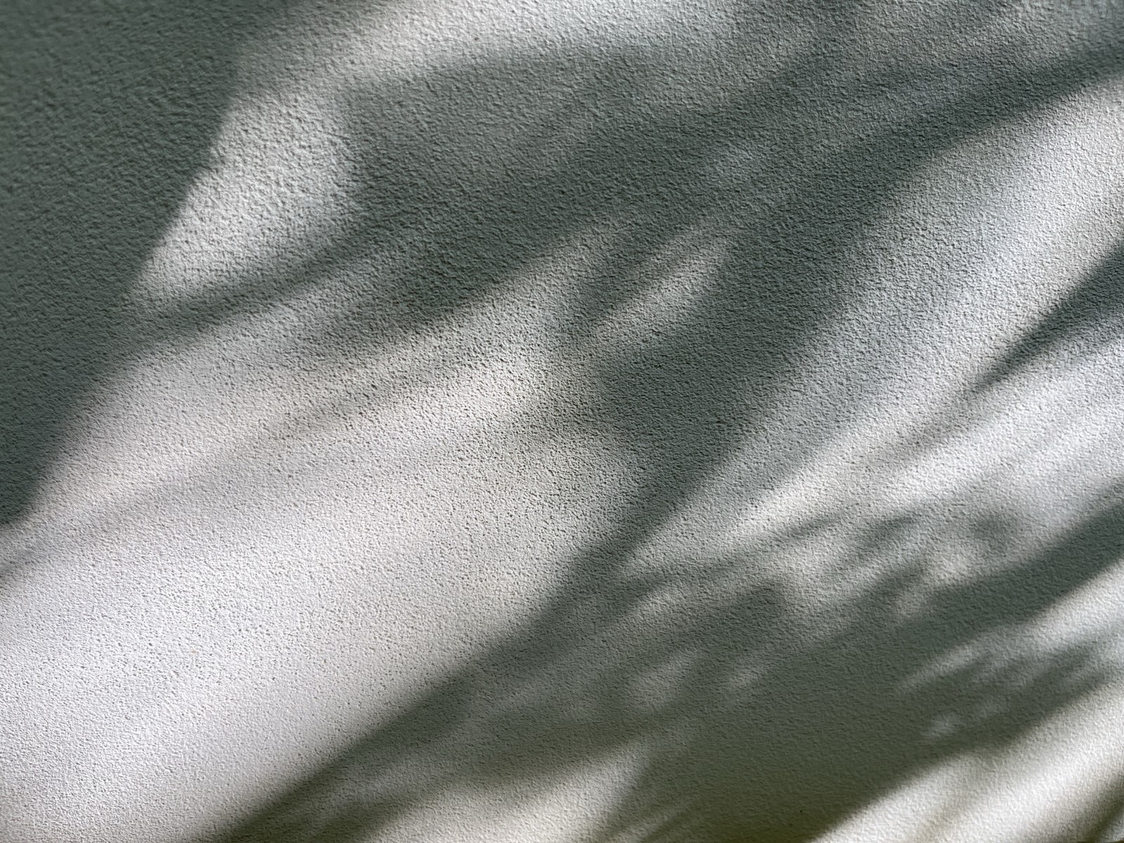Grünlicher Kalkputz mit Blattschatten-Abdruck, feine Körnung, Außenwandputz