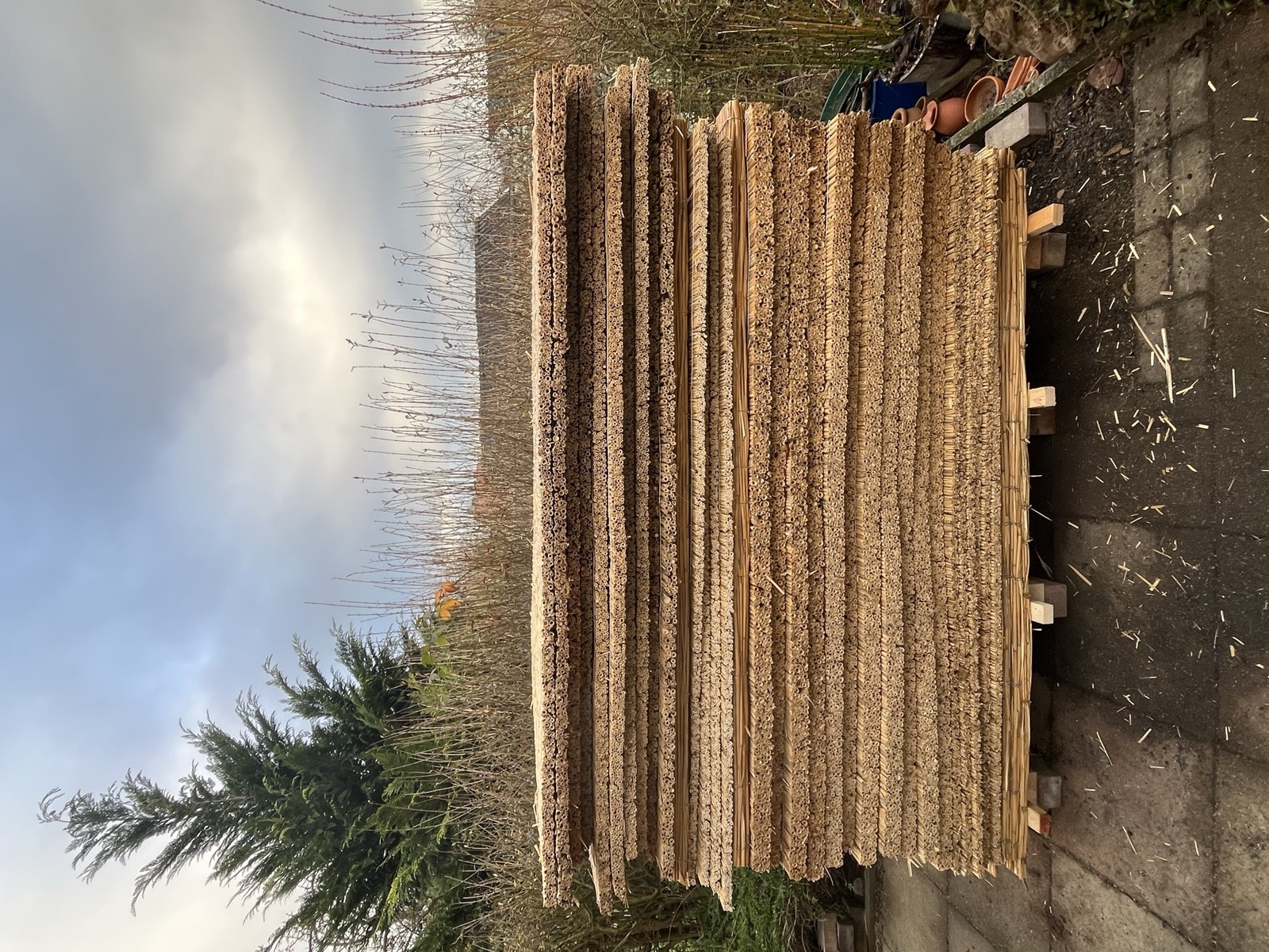 Gartenhaus-Dachdetail: Schilfrohrmatten als Putzträger, Holzrahmen, Dachfenstereinbau